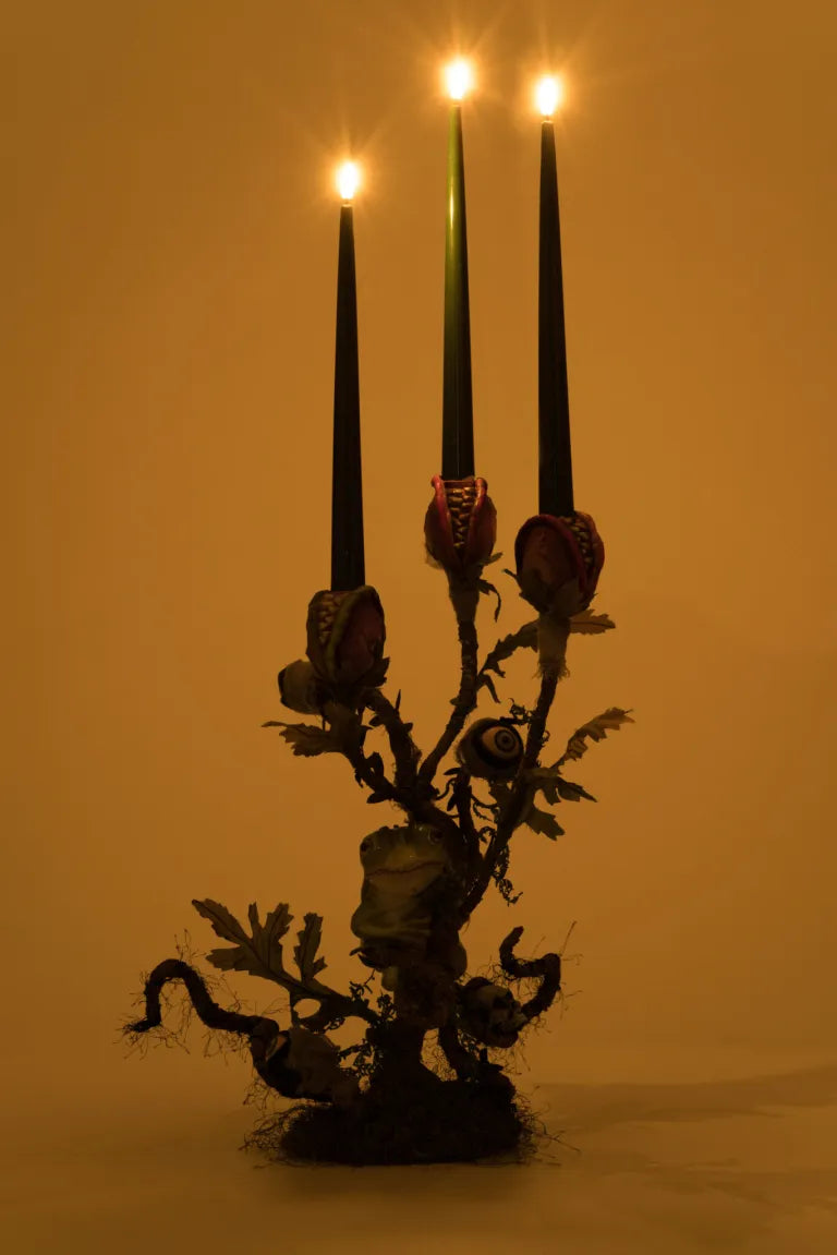 Enchanted Plant Candelabra