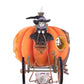 Enchanted Pumpkin Carriage