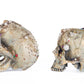 Tabletop Jewel Encrusted Skulls Assortment of 2