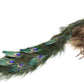 Royalty Peacock, Small - 8 Inches (set of 4)