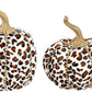 Jeweled Pumpkin, leopard 8-9''