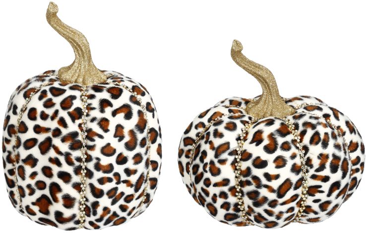 Jeweled Pumpkin, leopard 8-9''