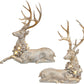 Deer with Led Wreath, Set of 2 - 20 x 21 Inches