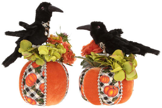 Pumpkin Crow Set 11-13.5'' (Set of 2)